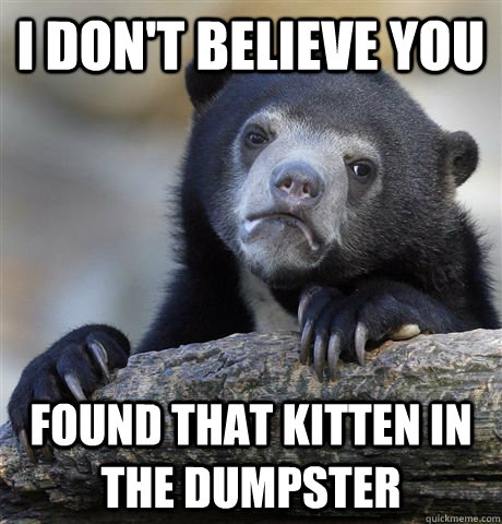 I don't believe you found that kitten in the dumpster  Confession Bear