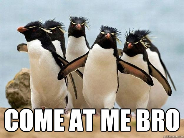  come at me bro -  come at me bro  Penguin