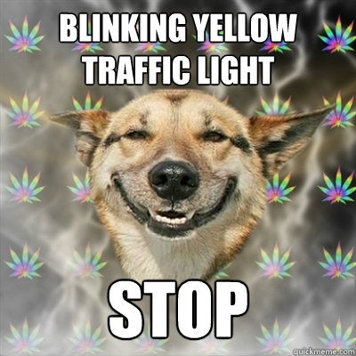 blinking yellow traffic light stop - blinking yellow traffic light stop  Stoner Dog