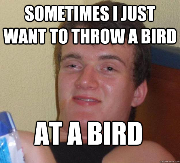 Sometimes I just want to throw a bird at a bird
  10 Guy