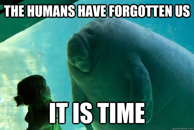 The humans have forgotten us It is time - The humans have forgotten us It is time  Overlord Manatee