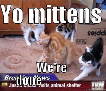 YO MITTENS  WE'RE DONE                     Misc