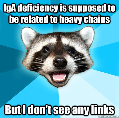 IgA deficiency is supposed to be related to heavy chains But I don't see any links  Lame Pun Coon