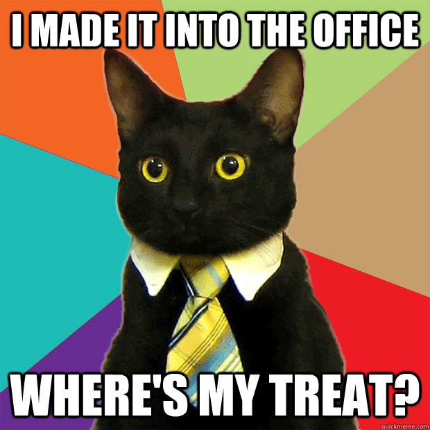 i made it into the office where's my treat? - i made it into the office where's my treat?  Business Cat