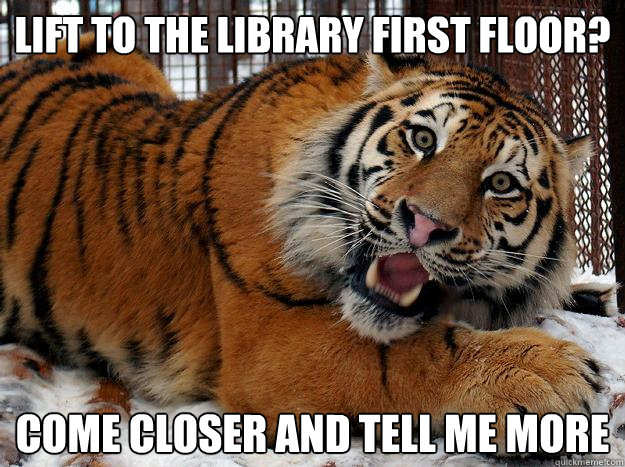 Lift to the library first floor? Come closer and tell me more  Fascinated Tiger