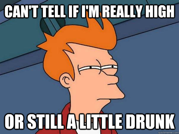 Can't tell if I'm really high Or still a little drunk - Can't tell if I'm really high Or still a little drunk  Futurama Fry