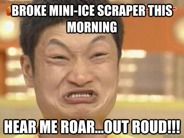 broke mini-ice scraper this morning hear me roar...out roud!!!  Angry Asian Face