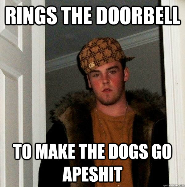 Rings the doorbell to make the dogs go apeshit  Scumbag Steve