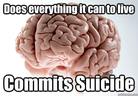 Does everything it can to live Commits Suicide   Scumbag Brain