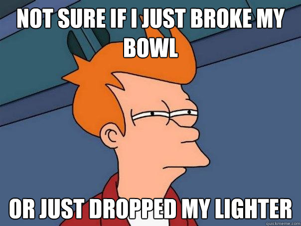 not sure if I just broke my bowl or just dropped my lighter  Futurama Fry