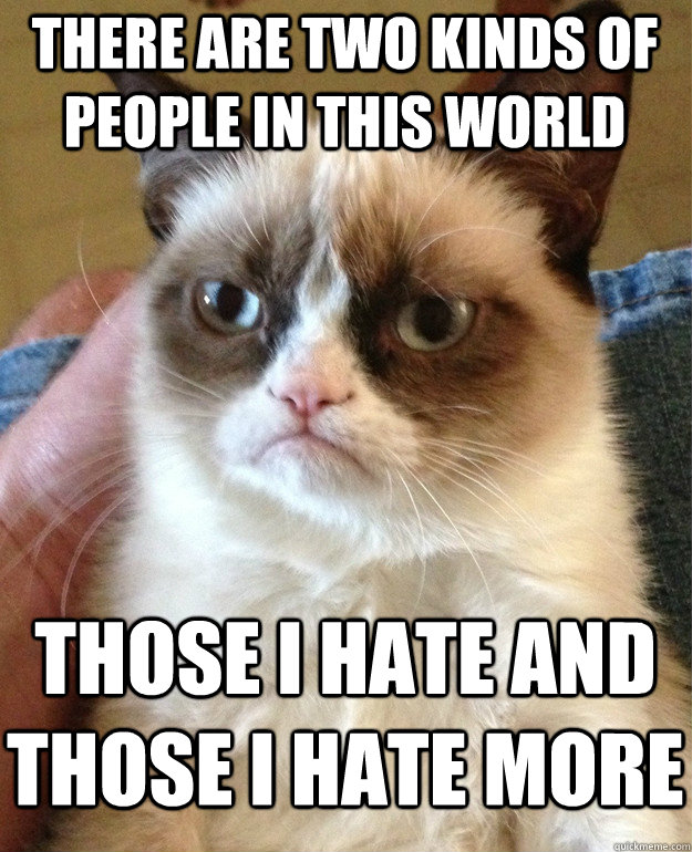 there are two kinds of people in this world those I hate and those I hate more  Grumpy Cat