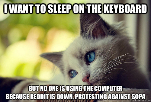 I want to sleep on the keyboard but no one is using the computer
BECAUSE REDDIT IS DOWN, PROTESTING AGAINST SOPA  First World Problems Cat