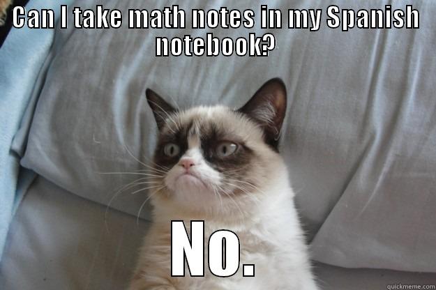 CAN I TAKE MATH NOTES IN MY SPANISH NOTEBOOK? NO. Grumpy Cat