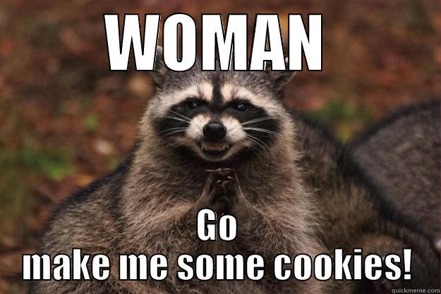 WOMAN GO MAKE ME SOME COOKIES! Evil Plotting Raccoon