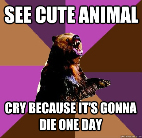 See cute animal Cry because it's gonna die one day - See cute animal Cry because it's gonna die one day  Emotionally Volatile Bear