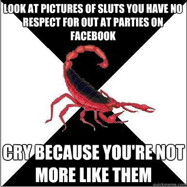 Look at pictures of sluts you have no respect for out at parties on facebook cry because you're not more like them    Borderline scorpion