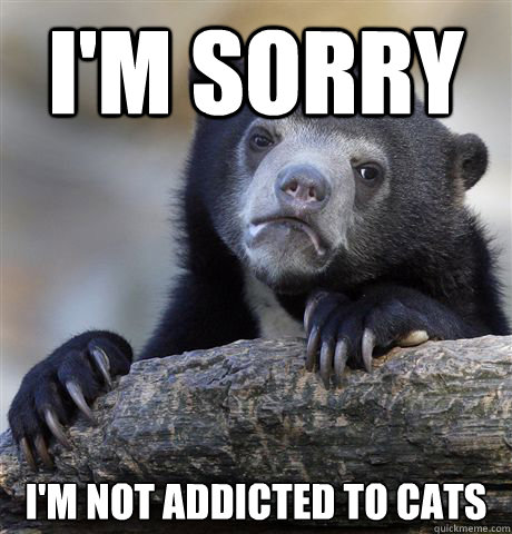 I'm sorry I'm not addicted to cats  Confession Bear