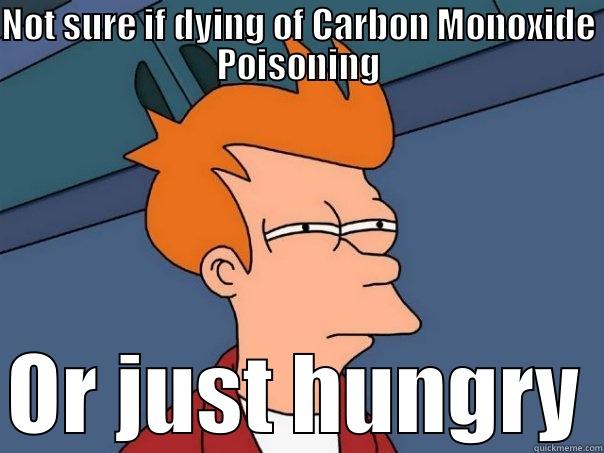 NOT SURE IF DYING OF CARBON MONOXIDE POISONING OR JUST HUNGRY Futurama Fry