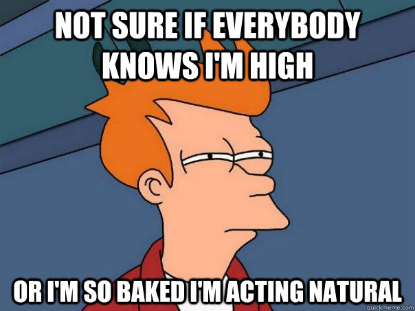 Not Sure if everybody knows i'm high Or i'm so baked i'm acting Natural  Futurama Fry