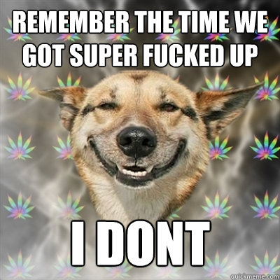 remember the time we got super fucked up i dont  Stoner Dog