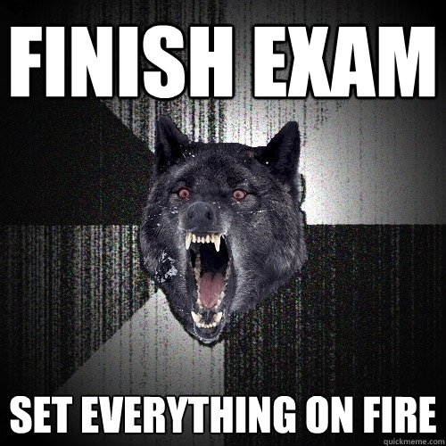 Finish Exam set everything on fire  Insanity Wolf