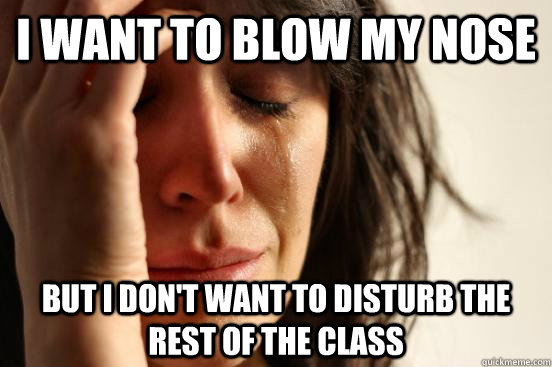 I want to blow my nose but I don't want to disturb the rest of the class  - I want to blow my nose but I don't want to disturb the rest of the class   First World Problems