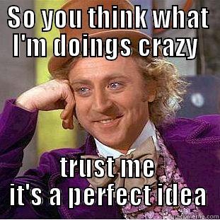 SO YOU THINK WHAT I'M DOINGS CRAZY  TRUST ME IT'S A PERFECT IDEA Condescending Wonka