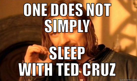 ONE DOES NOT SIMPLY SLEEP WITH TED CRUZ Boromir