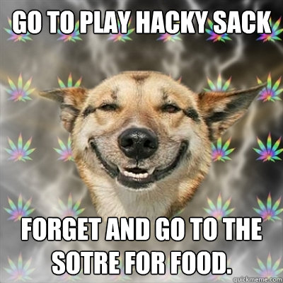 go to play hacky sack  forget and go to the sotre for food.  Stoner Dog