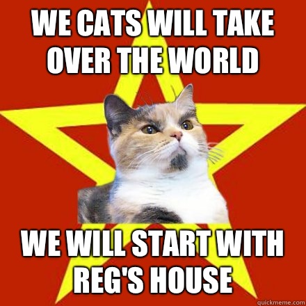 We cats will take over the world We will start with Reg's house  Lenin Cat