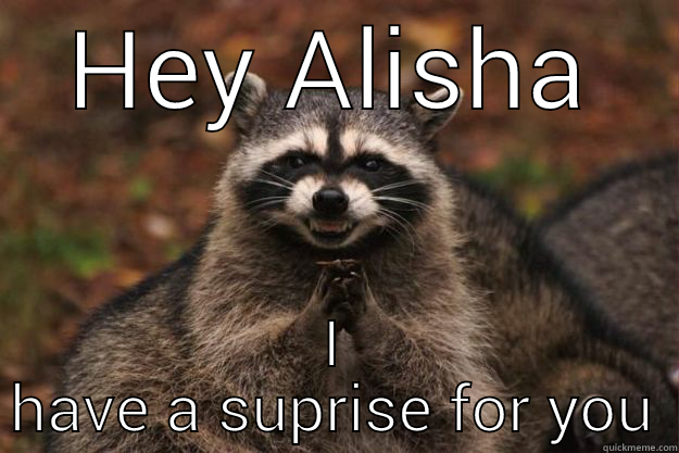 I love my seester so so much. - HEY ALISHA I HAVE A SUPRISE FOR YOU Evil Plotting Raccoon