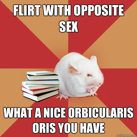 flirt with opposite sex what a nice orbicularis oris you have - flirt with opposite sex what a nice orbicularis oris you have  Science Major Mouse