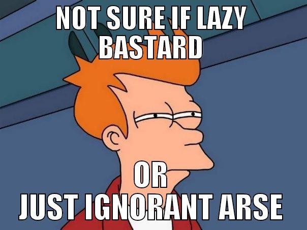 NOT SURE IF LAZY BASTARD OR JUST IGNORANT ARSE Futurama Fry