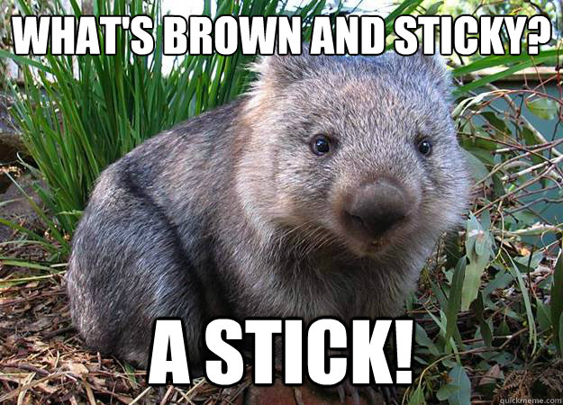 What's brown and sticky? A stick!  