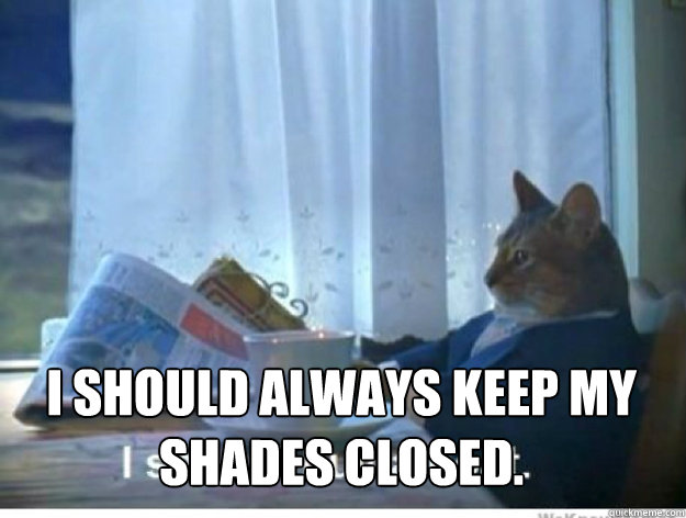  i should always keep my shades closed.  newspaper cat