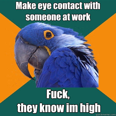 Make eye contact with someone at work Fuck,       
 they know im high - Make eye contact with someone at work Fuck,       
 they know im high  Paranoid Parrot