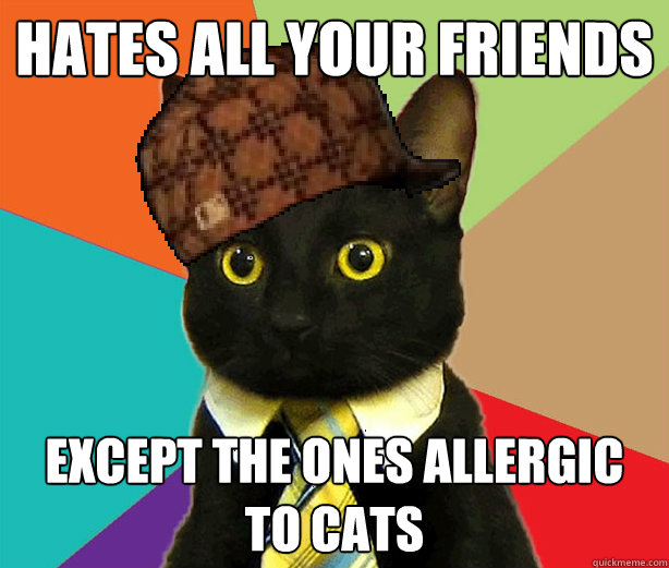 hates all your friends except the ones allergic to cats - hates all your friends except the ones allergic to cats  Scumbag Cat