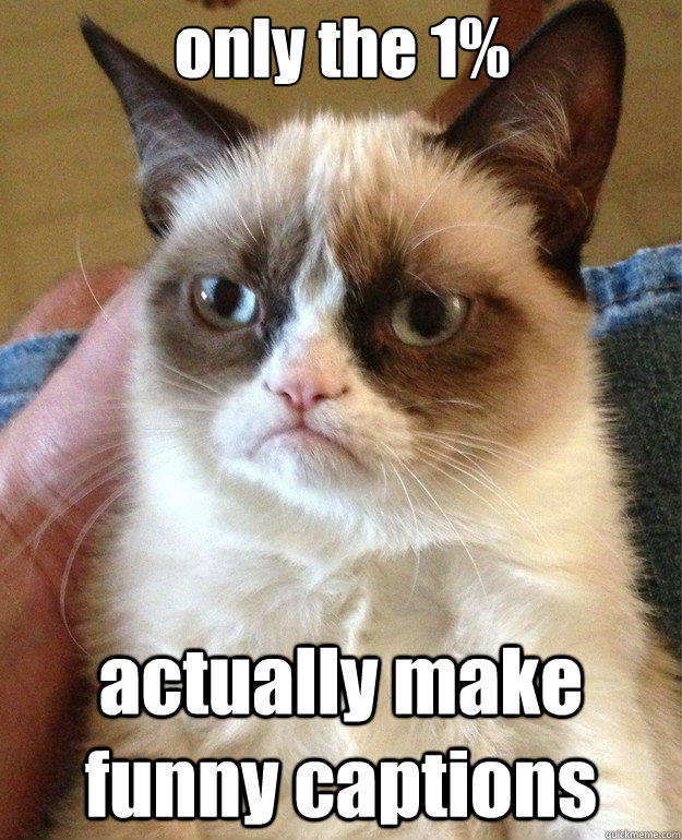 only the 1% actually make funny captions  Grumpy Cat