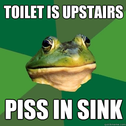 Toilet is upstairs piss in sink  Foul Bachelor Frog