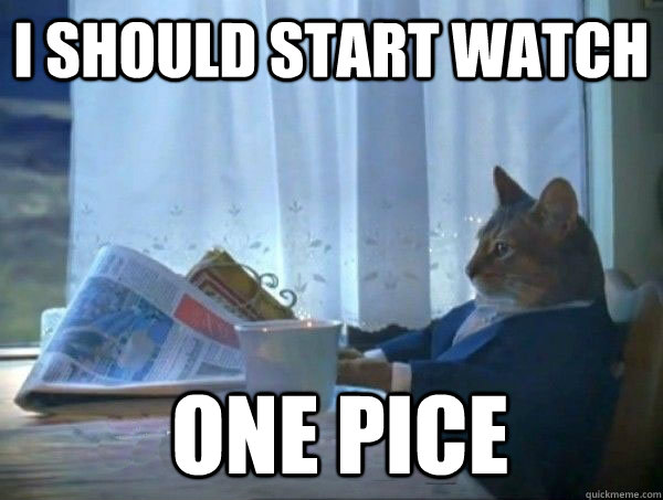 I should start watch  one pice - I should start watch  one pice  morning realization newspaper cat meme