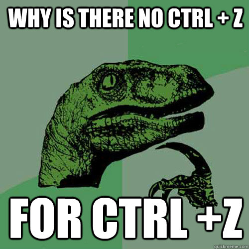 Why is there no Ctrl + Z for ctrl +Z  Philosoraptor