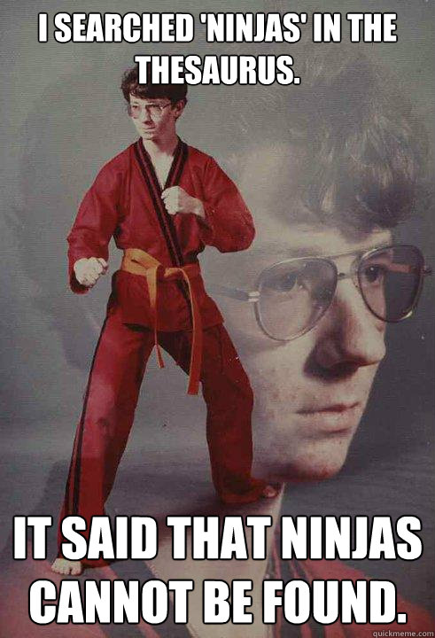 I searched 'ninjas' in the Thesaurus. It said that ninjas cannot be found.  Karate Kyle