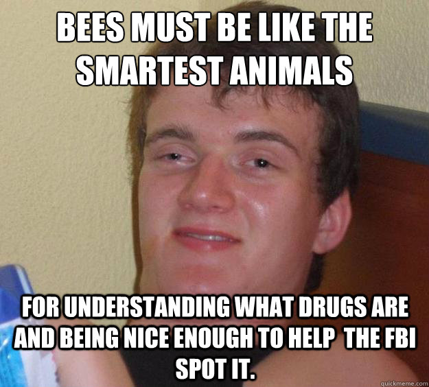 bees must be like the smartest animals for understanding what drugs are and being nice enough to help  the FBI spot it.  10 Guy