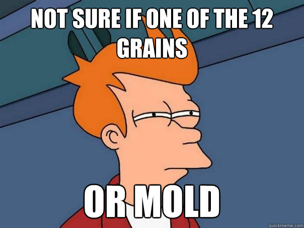 Not sure if one of the 12 grains or mold - Not sure if one of the 12 grains or mold  Futurama Fry