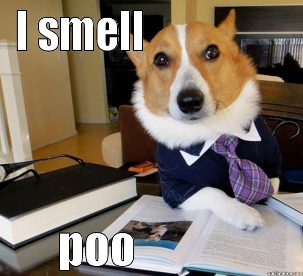 I SMELL                 POO            Lawyer Dog