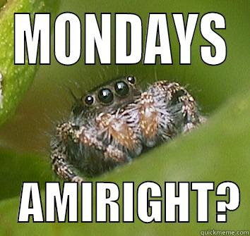 spider mondays - MONDAYS    AMIRIGHT? Misunderstood Spider