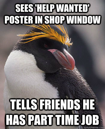 Sees 'help wanted' poster in shop window tells friends he has part time job - Sees 'help wanted' poster in shop window tells friends he has part time job  Socially Overconfident Penguin