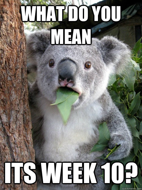 what do you mean  its week 10?  Surprised Koala