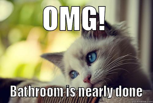 Bathroom shock - OMG!  BATHROOM IS NEARLY DONE First World Problems Cat