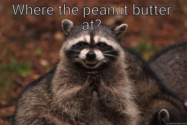 WHERE THE PEANUT BUTTER AT?  Evil Plotting Raccoon